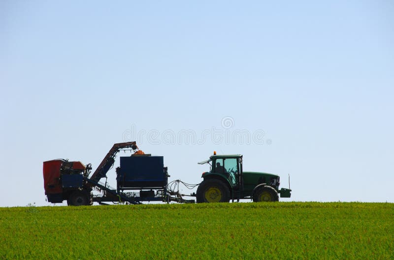 Combine harvesting carrots in green field royalty free stock image