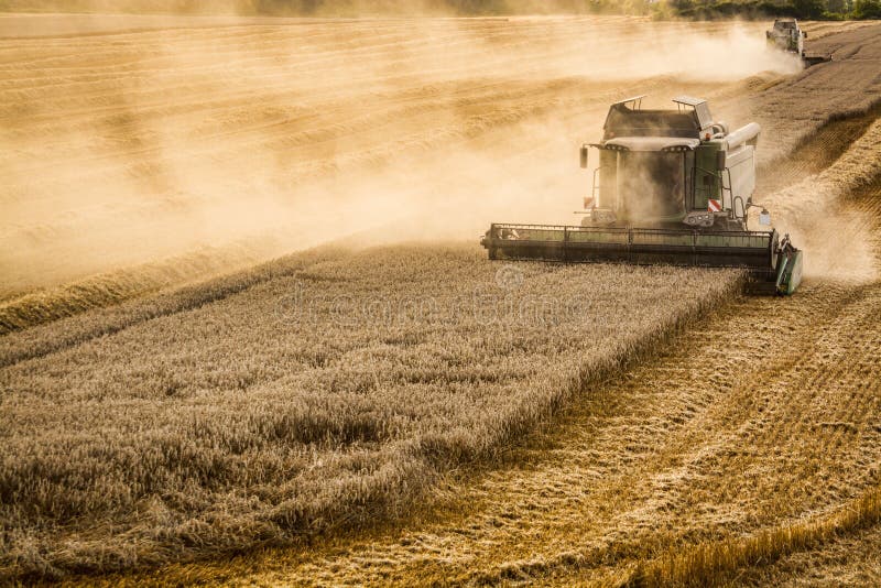 Combine harvesting grain in Czech republic royalty free stock photos Combine harvesting grain in Czech republic royalty free stock photos