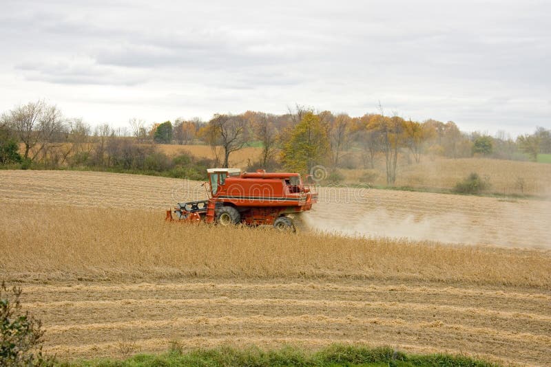 Combine Harvesting Soy Beans Stock Image Image of work, farmer 8811471