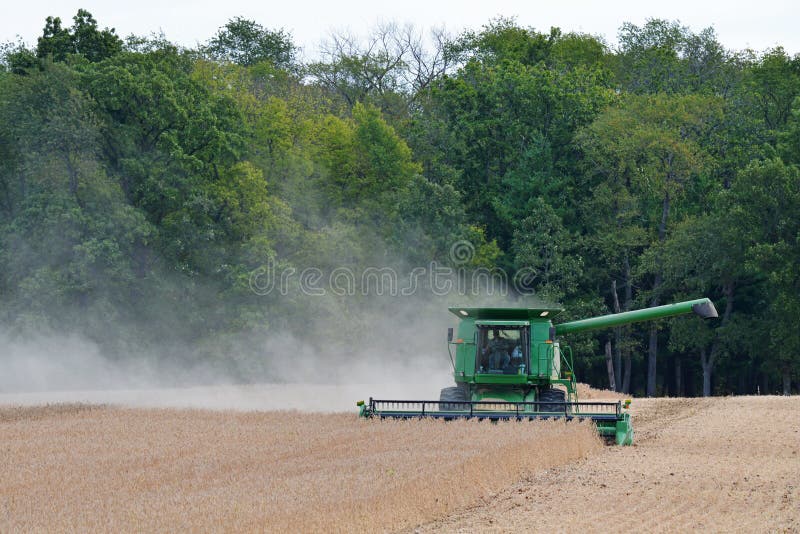 Combine Harvesting Soy Beans Editorial Stock Image Image of farming, countryside 102770109