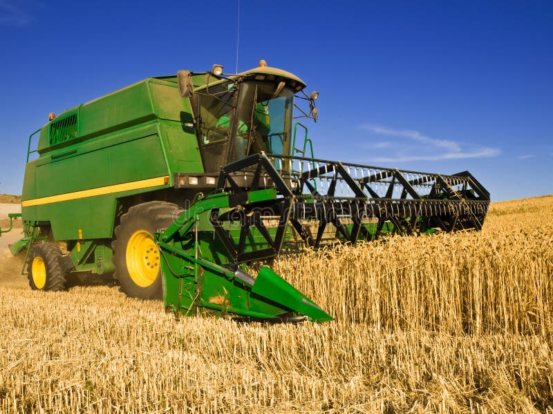 Combine Harvesting a Wheat Field Stock Photo - Image of combine, spike ...