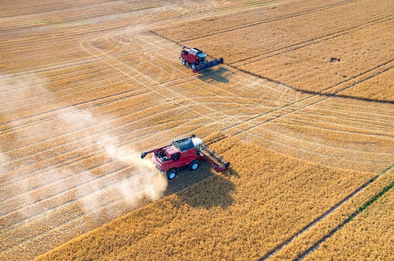 Combines and Tractors Working on the Wheat Field Stock Photo Image of