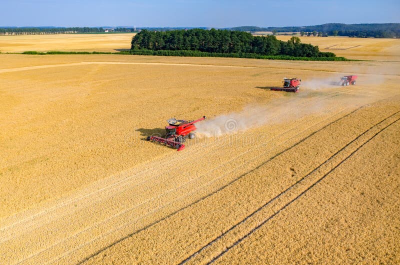 Combines Working on a Wheat Field Stock Image Image of nature, reap