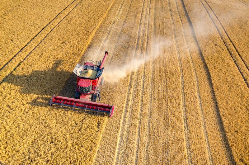 Combines and Tractors Working on the Wheat Field Stock Image Image of