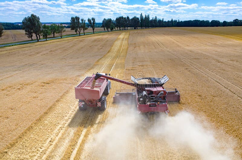 Combines and Tractors Working on the Wheat Field Stock Photo Image of