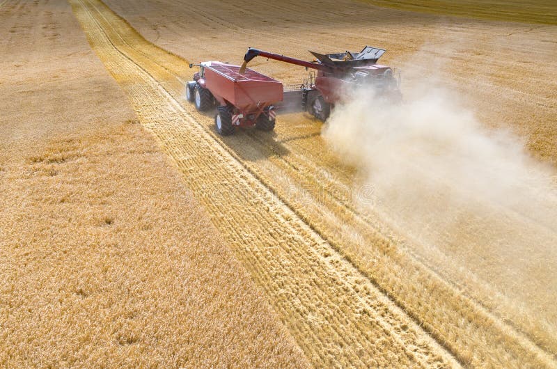Combines and Tractors Working on the Wheat Field Stock Photo Image of