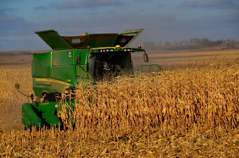 Combines Working in North Dakota To Harvest Corn Editorial Photo