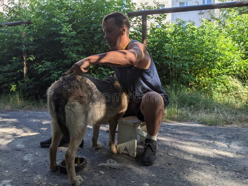 Combing a Dog& X27;s Coat Summer Shedding Stock Image Image of
