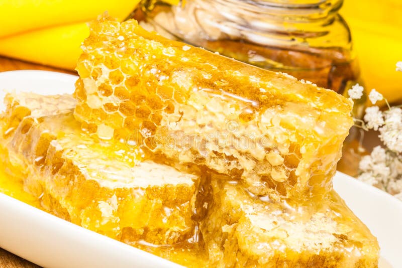Combs and honey stock image. Image