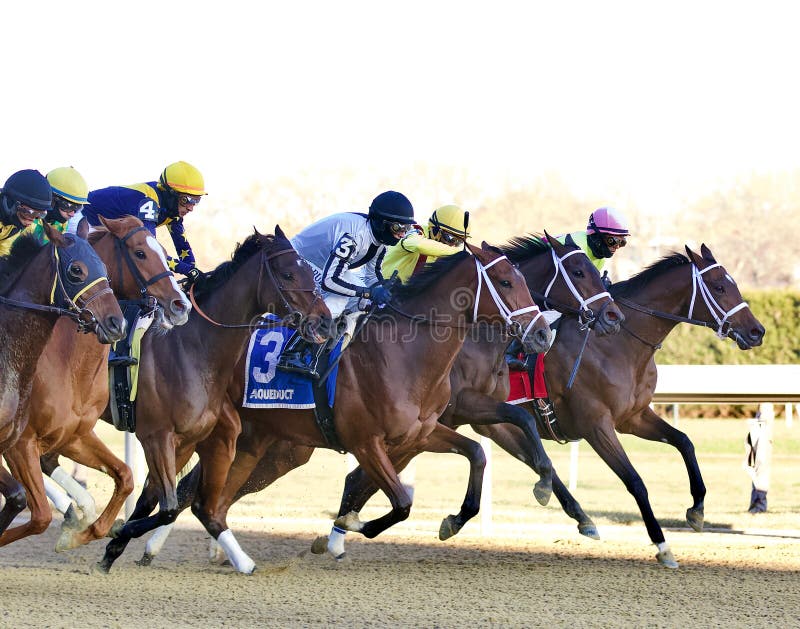 Bellera  3, by Bernardini in the Comely Stakes breaks sharply from the starting gate at historic Aqueduct Racetrack.The 70th running of the prestigious Comely stakes was won by the talented Belllera with jockey John Velazquez and trained by Derby winning trainer Todd Pletcher
Feetphoto. Bellera  3, by Bernardini in the Comely Stakes breaks sharply from the starting gate at historic Aqueduct Racetrack.The 70th running of the prestigious Comely stakes was won by the talented Belllera with jockey John Velazquez and trained by Derby winning trainer Todd Pletcher
Feetphoto