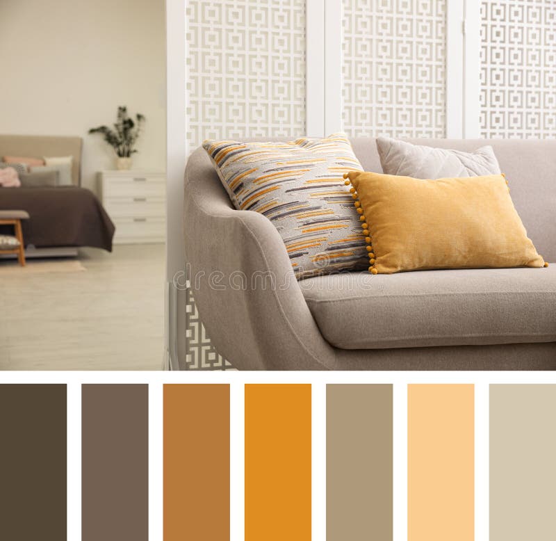 Comfortable Sofa with Different Cushions in Living Room. Interior