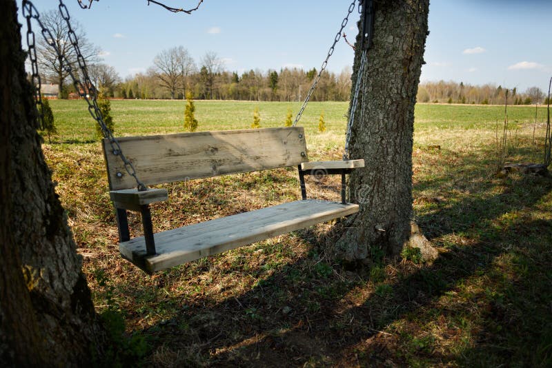 Comfortable swing bench between two trees. 