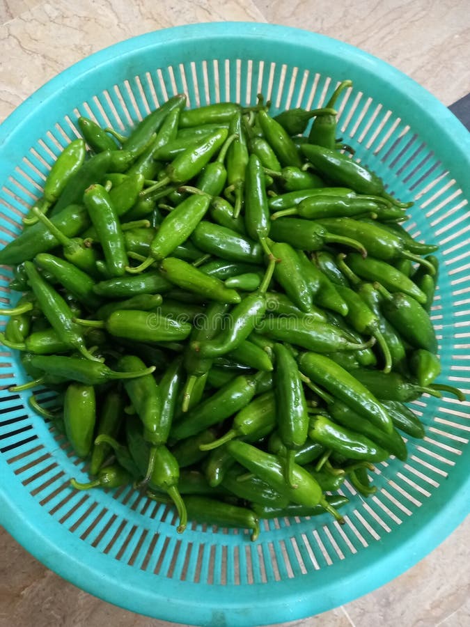 Comida Casera Chili Verde Ka Achar Imagen de archivo Imagen de verde