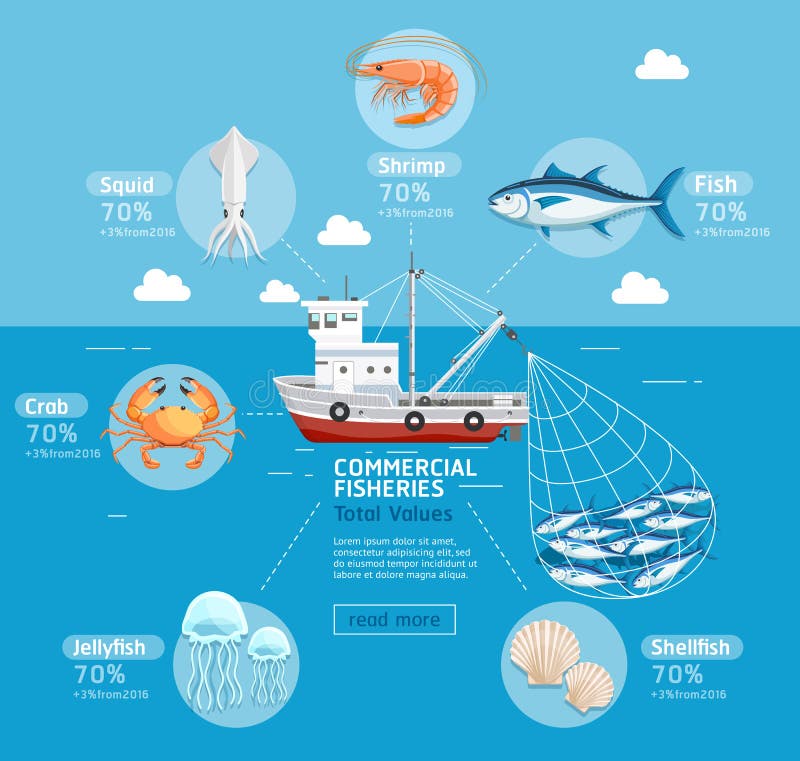 Commercial fishing business plan infographics. Fishing boat