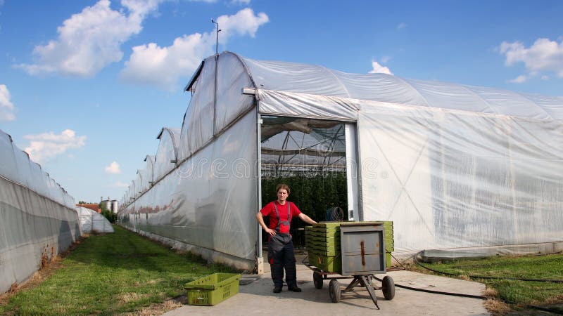 Commercial Greenhouse Exterior royalty free stock image Commercial Greenhouse Exterior royalty free stock image