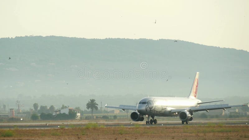 Commerciële Vlucht die bij Majorca-Luchthaven landen