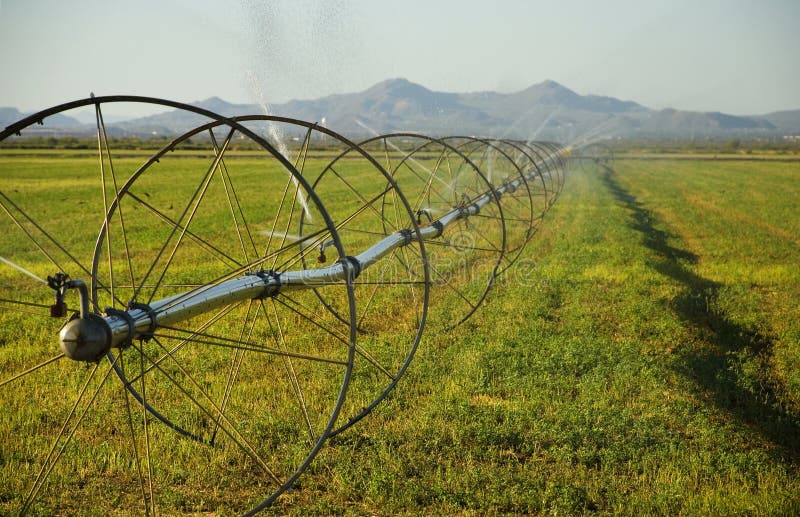 A large, rolling commercial farming irrigation system with wheels spraying water on crops in the field. A large, rolling commercial farming irrigation system with wheels spraying water on crops in the field