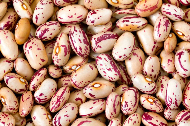 Common beans