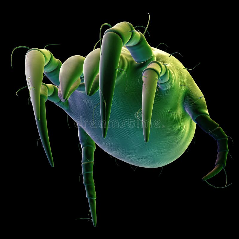 A common dust mite stock illustration. Illustration of system 57843255