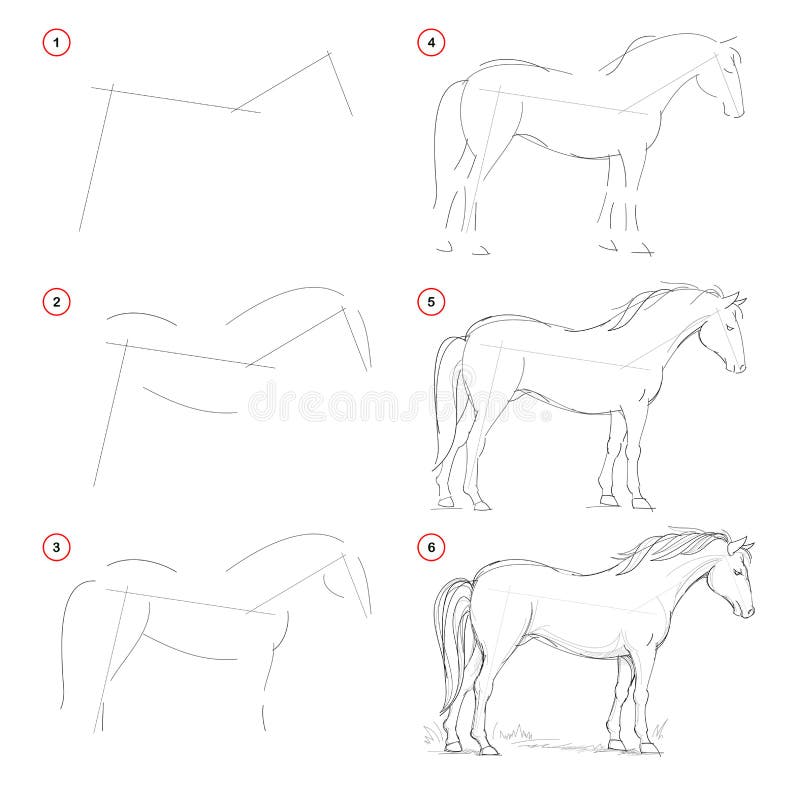 Como Desenhar Da Natureza O Desenho De Cavalo Em Pé Criação Passo