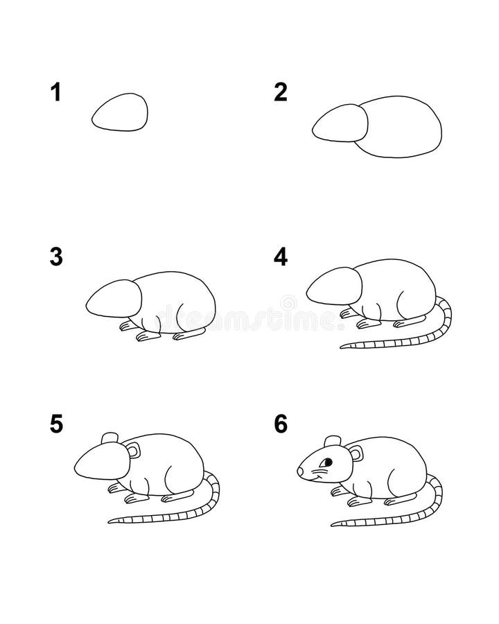 Como Desenhar Uma Ilustração Vetorial Crocodilo Desenhe Jacaré Passo Passo  imagem vetorial de NutkinsJ© 656332800