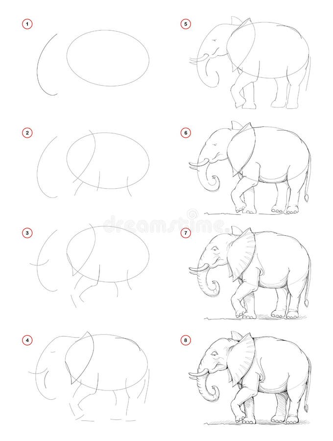 Como Desenhar Esboço Natureza Cavalo Permanente Criação Passo Passo Desenho  imagem vetorial de Nataljacernecka© 325188972