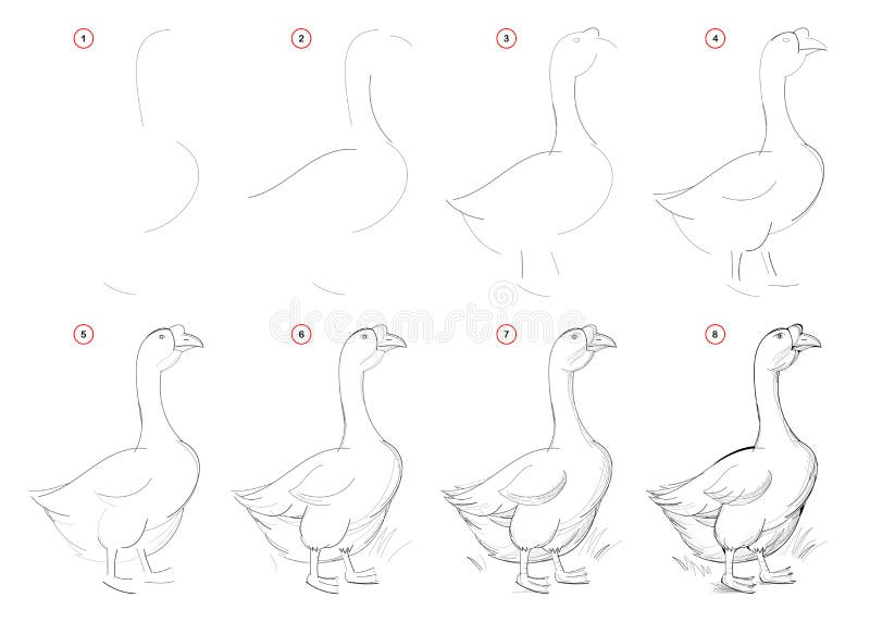 Como Desenhar Uma Galinha Imaginária Doméstica. Desenho De Lápis