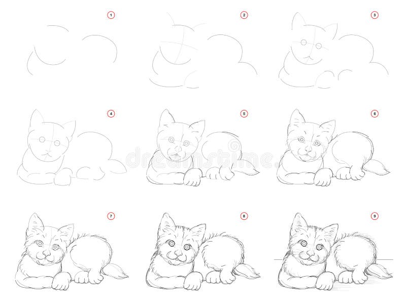 Como Desenhar um Gato - Esboço de um desenho de um Gato - Desenhos Realistas