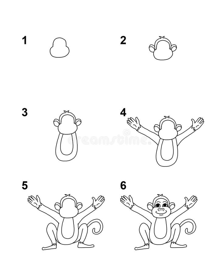 Como Desenhar Uma Ilustração Vetorial Crocodilo Desenhe Jacaré Passo Passo  imagem vetorial de NutkinsJ© 656332800