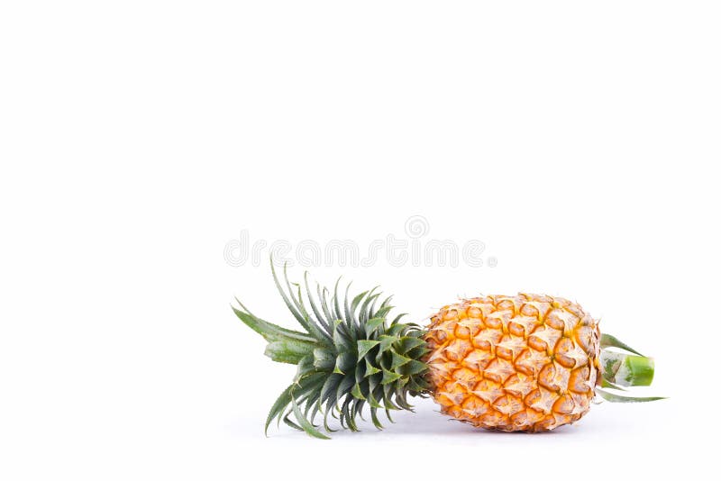 Comosus d'ananas d'ananas sur la nourriture saine de fruit d'ananas de fond blanc d'isolement photos stock Comosus d'ananas d'ananas sur la nourriture saine de fruit d'ananas de fond blanc d'isolement photos stock
