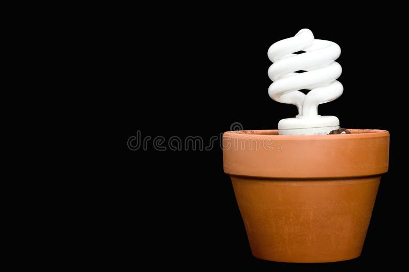 A compact fluorescent bulb in a planter