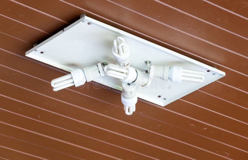 Compact fluorescent lamp stock image. Image of ecology 44007277