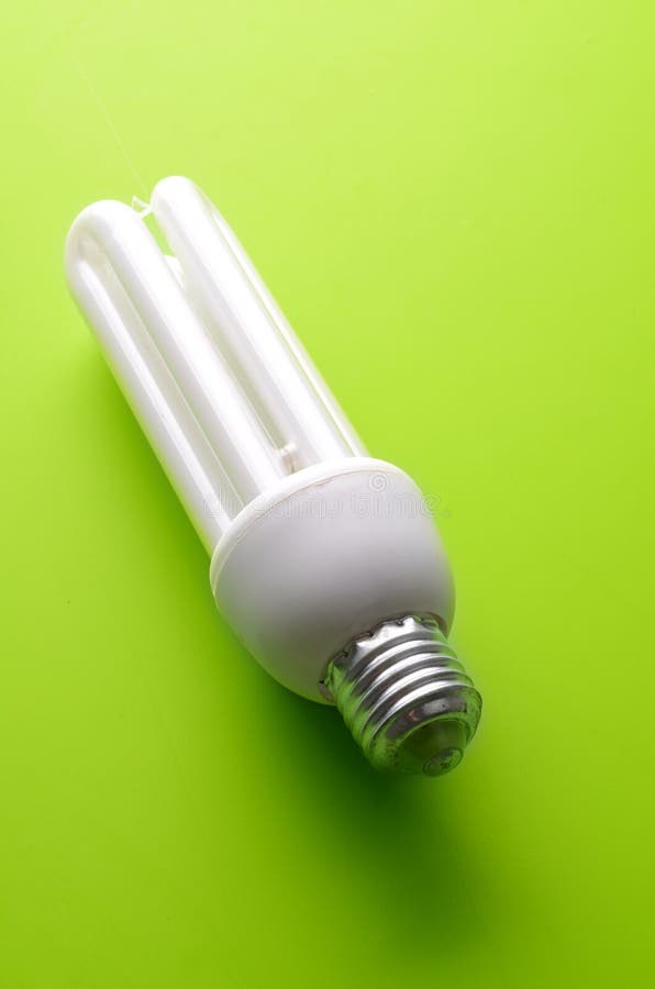 Compact Fluorescent Light Bulb