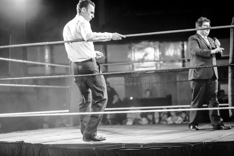 In the ring stock image