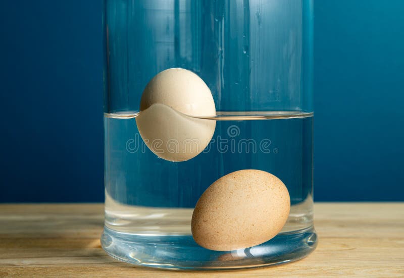 Comparison with fresh edible and old rotten egg. Fresh edible chicken egg is sunken bottom of the jar and old egg is floating.