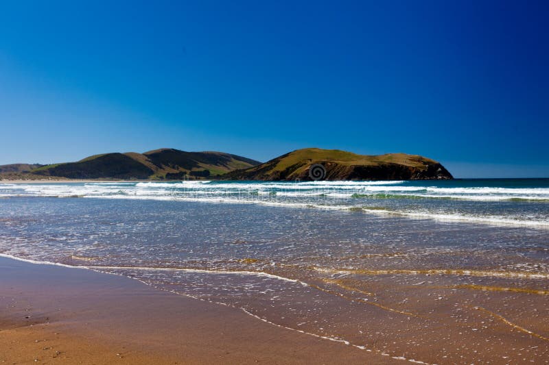 Compartiment de curiosité, côte sud d'île du sud de la Nouvelle Zélande photo stock