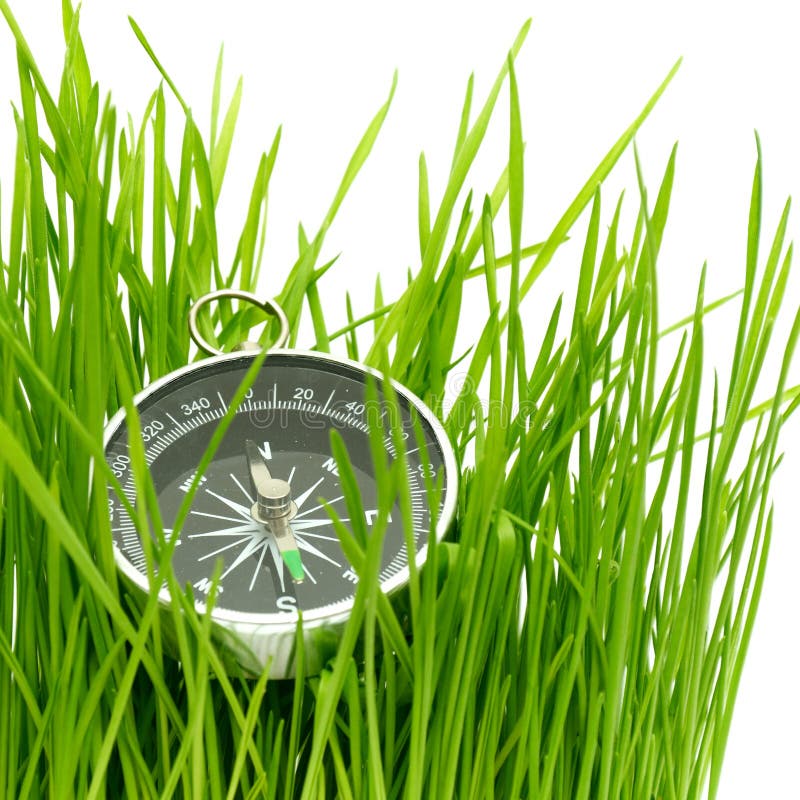 Compass in green grass