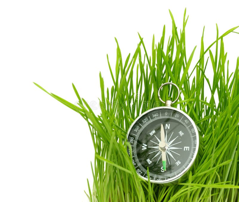 Compass in green grass