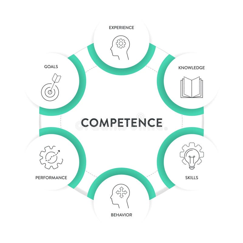 Competence model strategy infographic diagram chart illustration banner template with icon vector for presentation has experience royalty free illustration