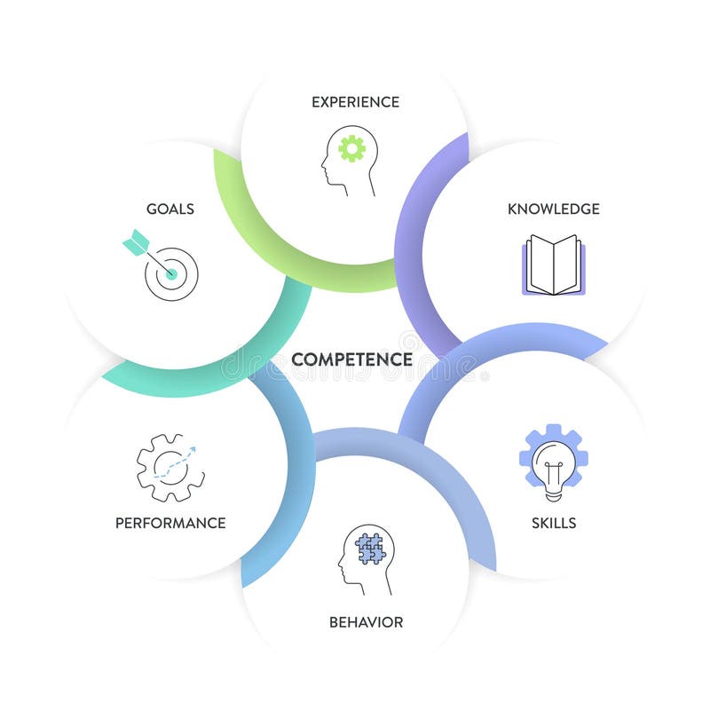 Competence model strategy infographic diagram chart illustration banner template with icon vector for presentation has experience royalty free illustration