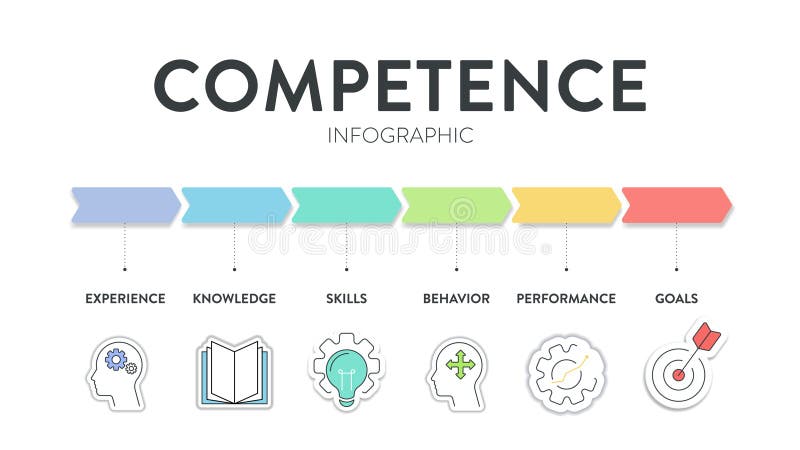Competence model strategy infographic diagram chart illustration banner template with icon vector for presentation has experience stock illustration