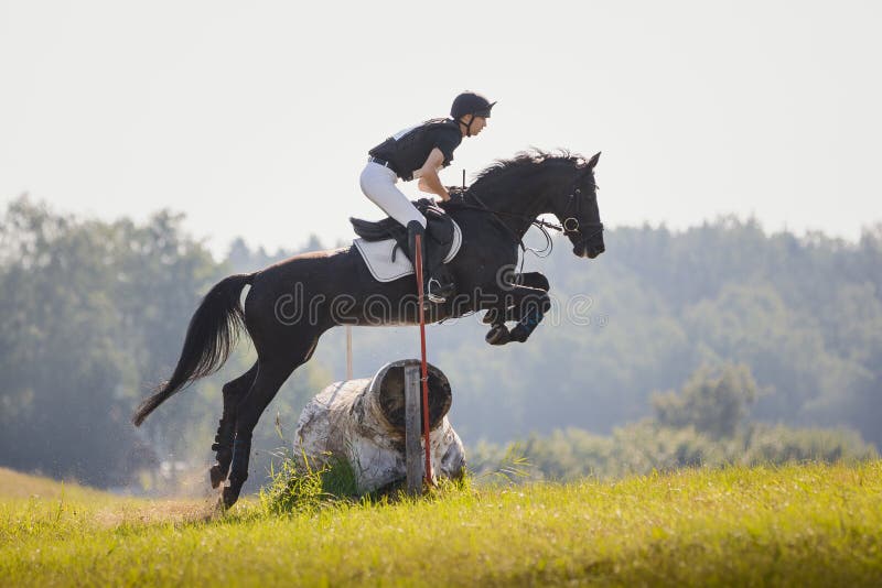 Cavalo Pulando Durante O Encontro De Cavalo Em Todo O País Pela Manhã  Fotografia Editorial - Imagem de grama, verde: 160272922