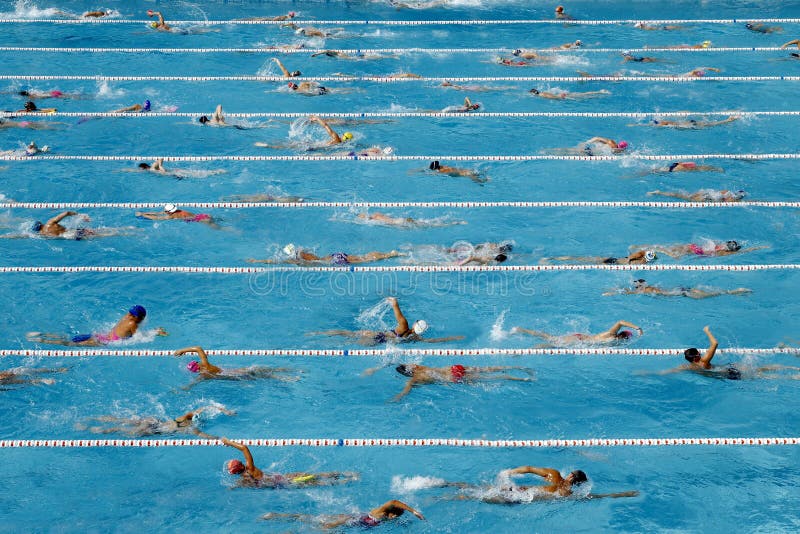 Competition swimming pool royalty free stock photography