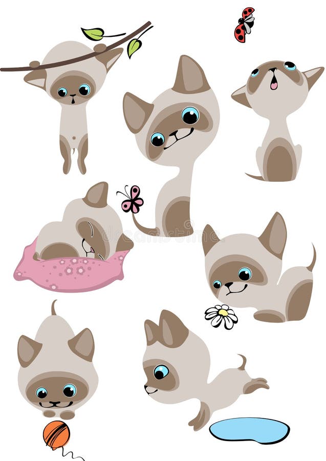 Cartoon Illustration Siamese Cat Korat Cat Stock Vector (Royalty