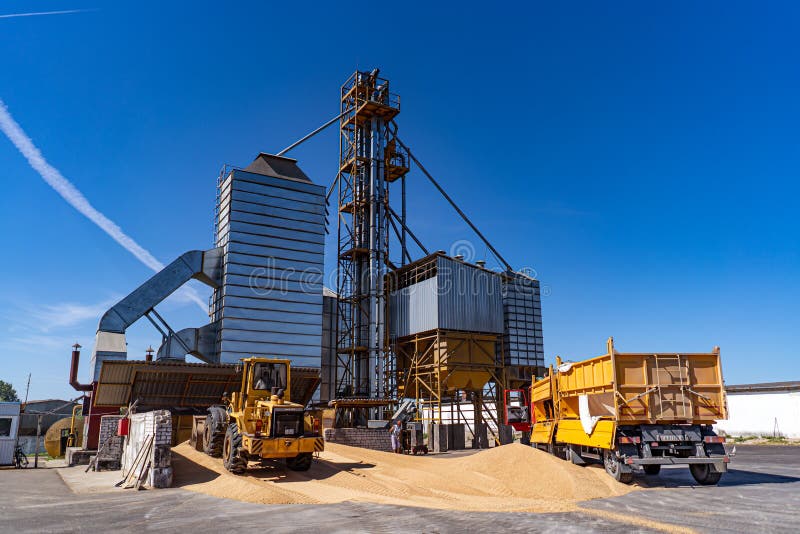 Complex for drying wheat grains, agriculture stock images