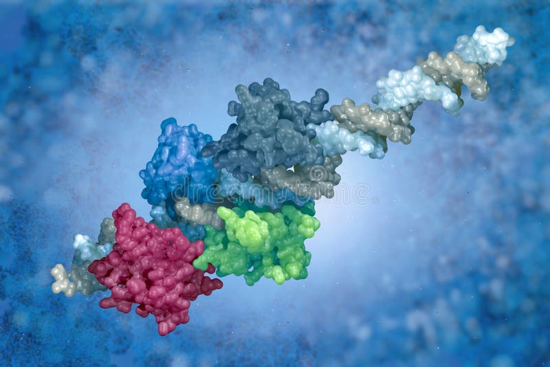 complexo da ADN-proteína