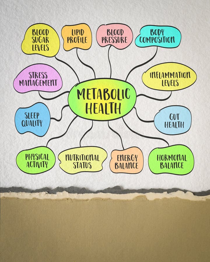 Components and factors affecting metabolic health stock photos