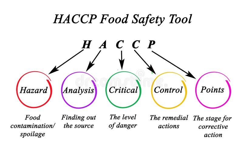 Haccp Food Safety Tool Stock Illustration Illustration Of Haccpfood