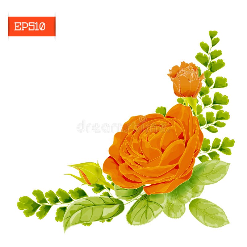 Composicao De Canto Flores Cor De Rosa Da Laranja Com Folhas Botoes E Samambaia Ilustracao Do Vetor Ilustracao De Verde Seasonal 98246975