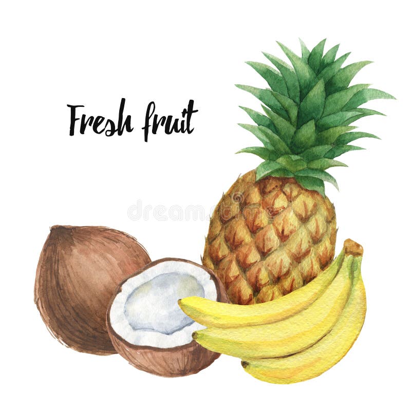 Composición de la acuarela con las frutas tropicales plátano, piña y coco aislados en el fondo blanco stock de ilustración